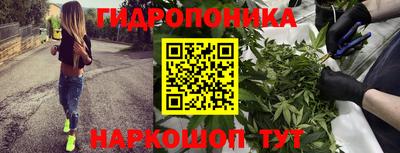 PSILOCYBIN Славгород
