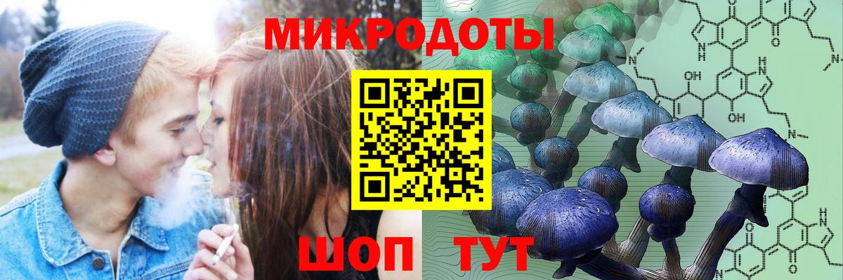 Галлюциногенные грибы ЛСД Отрадное