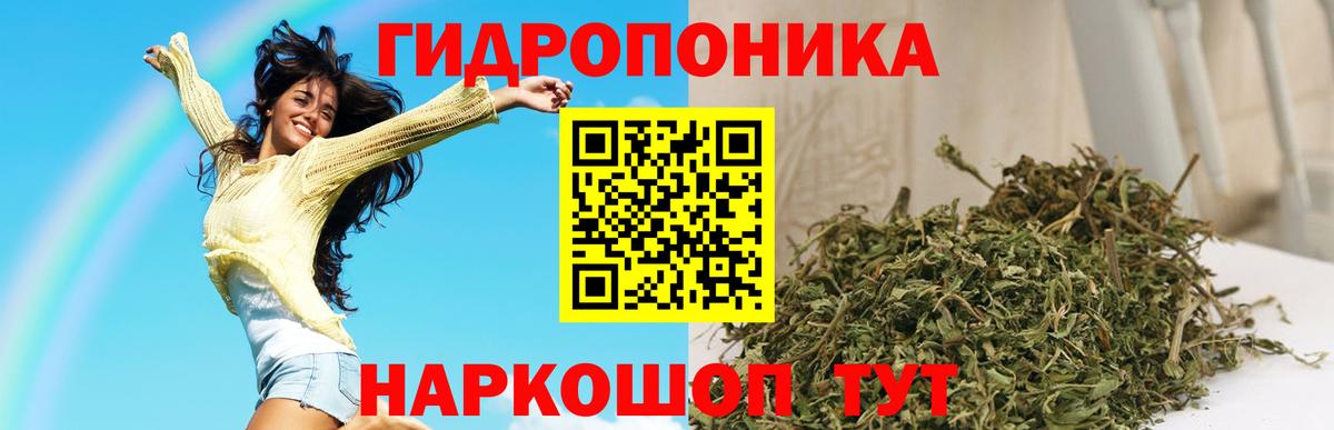 Бошки Шишки White Widow Отрадное